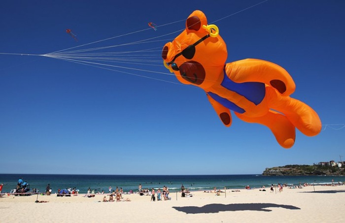 Festival Of The Winds Sydney Kite Festival Amusing Planet festival-of-the-winds-sydney-kite-festival-amusing-planet
